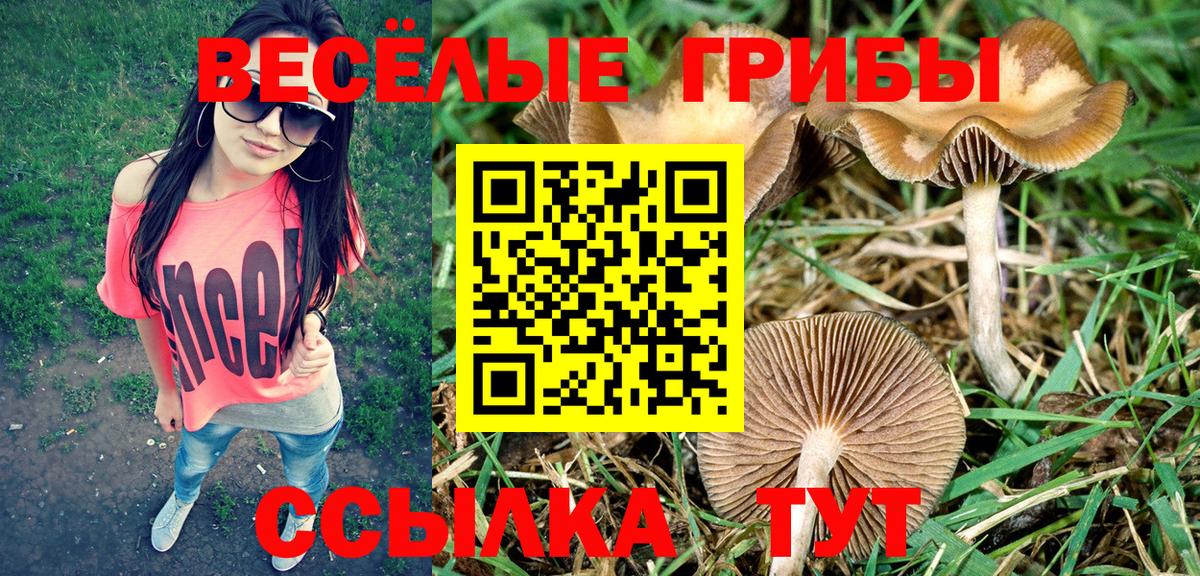 Набережные Челны  Вход с VPN  Мефедрон   ГАШ  Канабис 
