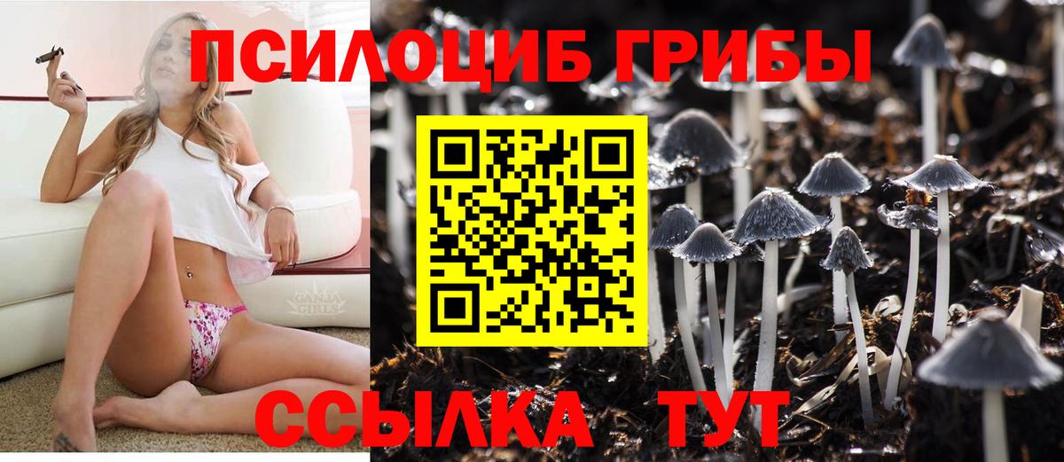 Галлюциногенные грибы прущие грибы Набережные Челны